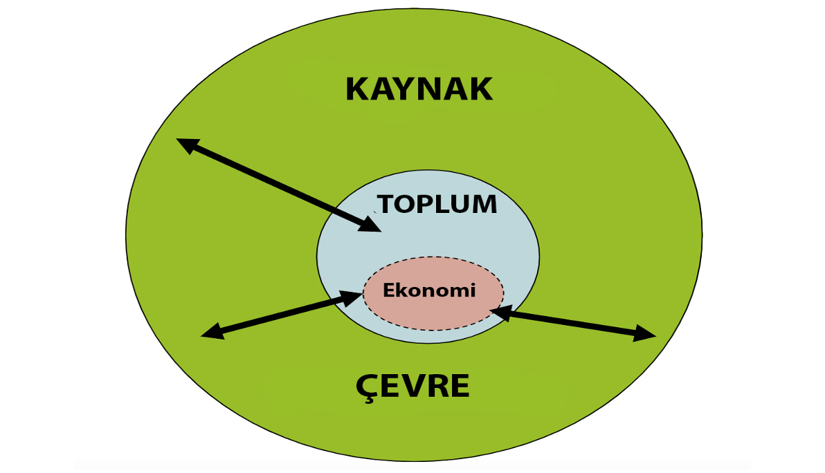 Kaynak: (Harvey, 2016:21)